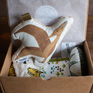 Dinosaur Daydreams Bundle Box