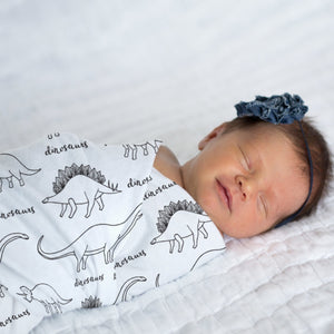 Hudson's Hand Drawn Dino Swaddle Blanket